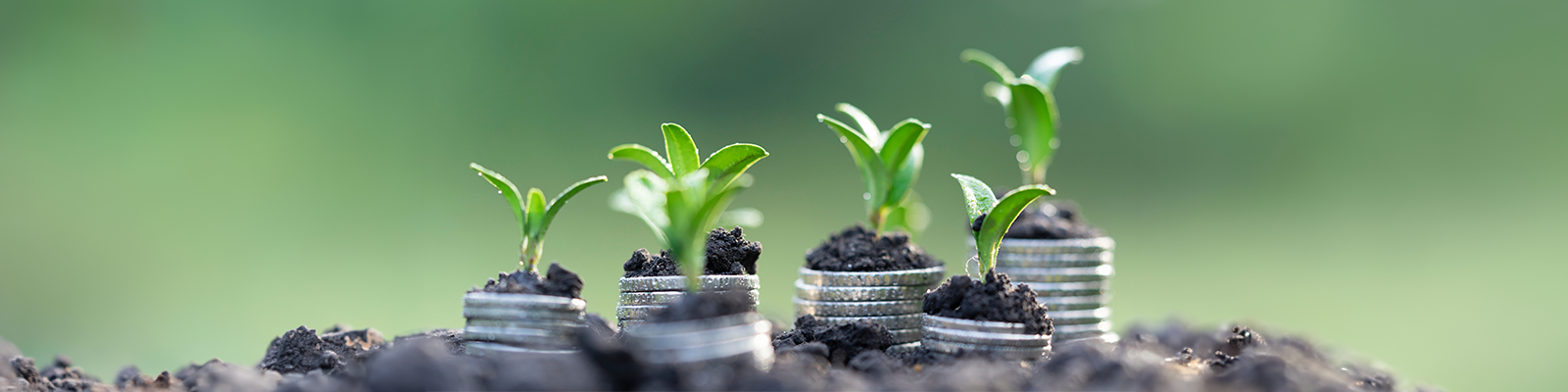 Telicherry Urban Bank