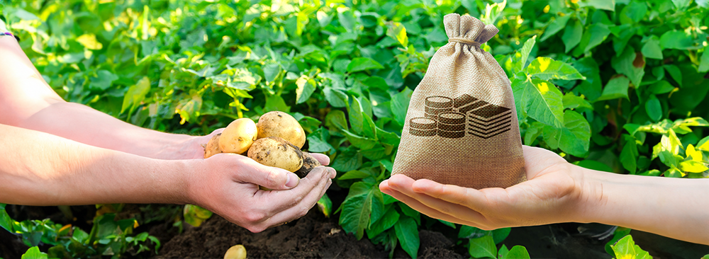 Telicherry Urban Bank